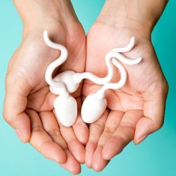 How to Make Bank by (Legally!) Selling Your Body