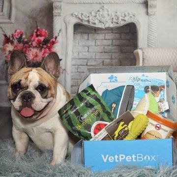 Spoil Your Furry and Feathered Friends With These 7 Subscription Boxes
